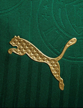 Camisa Palmeiras Titular 24/25 - Verde e Branca